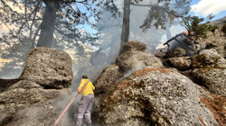 Manavgat'ta Çıkan Orman Yangını Kontrol Altında