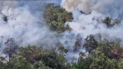 Antalya Kemer’de Orman Yangını! Alevler Rüzgarla Büyüyor