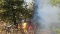 Denizli'deki Orman Yangını Kontrol Altında