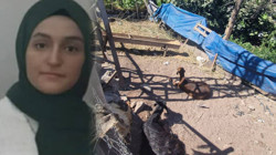 Diyarbakır'da Korkunç Olay! Yerde Yatan Keçiye Dokununca Öldü