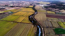 Tarımda Korkunç Tablo! 5 İstanbul Büyüklüğünde Alan Kayıp