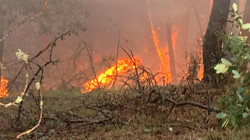 Karabük’te Orman Yangını! Havadan ve Karadan Müdahale Sürüyor