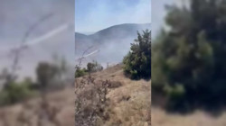 Sinop’ta Otluk Alanda Yangın Paniği! Büyümeden Kontrol Altına Alındı