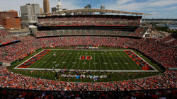 Böylesi Daha Önce Görülmedi! Sahaya Dildo Fırlattılar