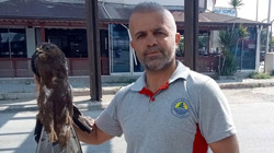 Mersin’de Bitkin Halde Bulunan Şahin Tedaviye Alındı