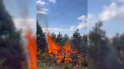 Sinop'ta Peş Peşe Yangın Paniği! Kontrol Altına Alındı