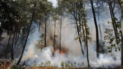 Türkiye’yi Saran 'Alev Kapanı'nın Rotası Değişti! Kabusa Karşı En Etkili Önlem Ne? Uzmanı Açıkladı