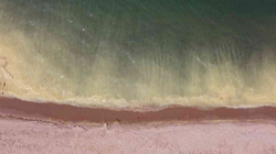 Amasra’da Denizin Rengi Hayrete Düşürdü