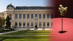 Fransa Şokta! Müzeler Peş Peşe Soyuluyor: Bu Defa Altınları Çaldılar