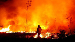 Sessiz Felaket İçin Korkutan Senaryo: Yangın Dumanı Dünyayı Boğacak! 2100’e Kadar Her Yıl 1,4 Milyon Ölüm