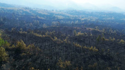 63 Saatlik Kabustan Geriye Kalan... Köyceğiz Artık Kömür Karası