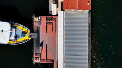 İzmir Körfezi'nde Korkutan Balık Ölümü! Giderek Yayılıyor