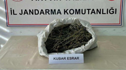 Artvin’de Zehir Tacirlerine Operasyon