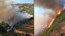 Balıkesir'de Yine Kızıl Kabus! Otomobilde Başladı, Ormana Sıçradı