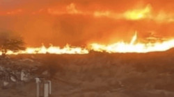 İstanbul'da Otluk Alan Yangını Kontrol Altında