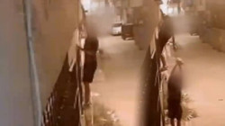 Bunun Adı Vicdansızlık! Evden Çaldıkları Kediyi Sokağa Bıraktılar