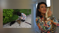Trabzonlu Hayvansever Duygulandırdı! 5 Kedi Dünyalar Kadar Sevgi… Kalpleri Isıtan Bir Hikaye