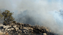 Diyarbakır'da Örtü Yangını