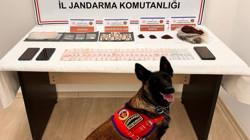 Kastamonu’da Uyuşturucu Operasyonu: Sanıklara 20 Yıla Kadar Hapis Talebi