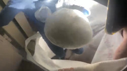 Samsun’da Bodruma Gizlenmiş Uyuşturucu Operasyonu