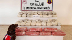 Van’da 61,9 Kilogram Skunk Ele Geçirildi