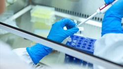 Çığır Açan Keşif! Bu Bakteri, Kanser Hücrelerini Yok Ediyor