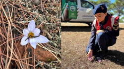 Bu Çiçeği Koparan Yandı! 557 Bin TL Cezası Var