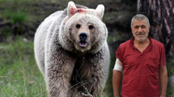 İnebolu'da Ayı Paniği! Göz Göze Geldi, Canını Zor Kurtardı!