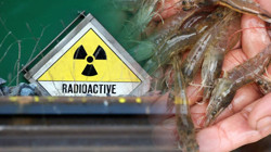 ABD'de Radyoaktif Ürün Alarmı! İki Ülkede Soruşturma Başlatıldı