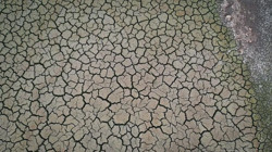 Bursa ve Muğla'da 'Susuzluk' Felaketi! Sofraya Yemek Bile Gelmeyecek