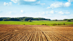 Tam 507 Yıllık, İngiltere'de Tarlada Yürürken Keşfetti, 4.6 Milyon Dolar Değerinde