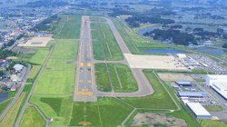 Japonya'da Havalimanında Ayı Alarmı! Pistte Panik, Seferler Durduruldu