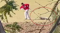 Vicdanları Yaralayan Görüntü! Hayvana Şiddet Yine Cezasız Kaldı