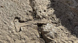 Limyra Antik Kenti'nde Her Şey Sil Baştan! 43 Yıldır Aranan Zeus Tapınağı Bulundu