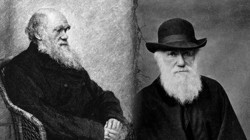 200 Yıl Sonra Geri Döndü: Darwin’den Günümüze Uzanan Gizem! Floreana’da Ortaya Çıktı