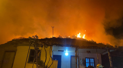 Antalya'da Korkutan Orman Yangını! Kontrol Altına Alındı