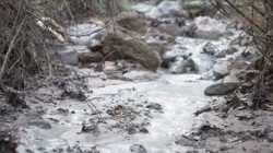 Bursa'da Çevre Felaketi! Maden Atık Barajı Çöktü, Tonlarca Kimyasal Doğaya Karıştı