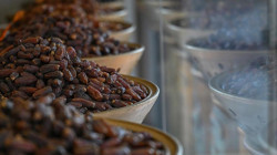 İftar Sofralarının Vazgeçilmezi Lüks Oldu: Hurma Fiyatları Cep Yakıyor, Kilosu Etle Yarışıyor