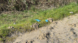 İstanbul'da Vahşet! Kayıp Olarak Aranıyordu, Çinli İş İnsanı Toprağa Gömülü Bulundu