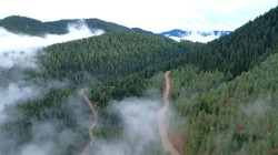 Resmi Gazete'de Yayımlandı: 21 İldeki Ormanlar İçin Karar