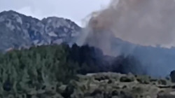 Osmaniye'de Orman Yangını