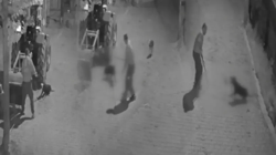 Tasmalı Köpeği Demir Çubukla Öldüren Zanlı Tutuklandı