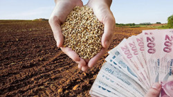 2026 Yılı Hububat Alım ve Satım Fiyatları Belli Oldu