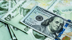 Dolar Kaç TL Oldu, Euro ne Kadar? İşte 31 Temmuz Cuma Güncel Döviz Kurları