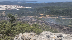 Alevlere Karşı Dev Hava Filosu: Antalya'da Korkutan Yangın Söndürüldü