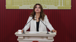 DEM Parti'den 'Çerçeve Yasa' Çıkışı: Meclis'te 'Barış İzleme Kurulu' İstendi