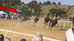 At Yarışında Korkunç Kaza: 2 At Öldü, Bir Jokey Yaralandı