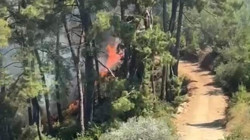 Fethiye'de Orman Yangını Alarmı