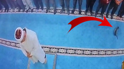 Tepkiler Sonuç Verdi! Erzurum'daki Camide Kediyi Tekmeleyerek Havaya Fırlatan Cani Kelepçelendi