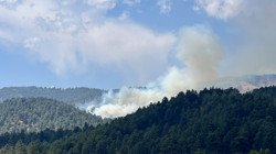 Kahramanmaraş'ta Çıkan Orman Yangını Kontrol Altında
